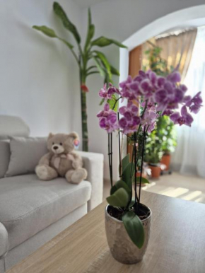 Apartament OPREA